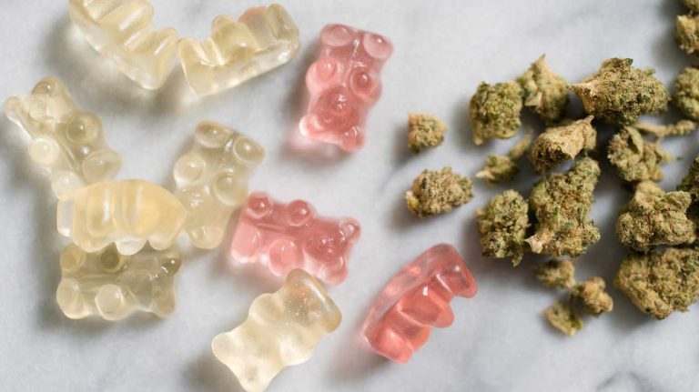 Candy Wonderland: Dive into Gummy Goodness